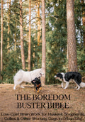 The Boredom Buster Bible